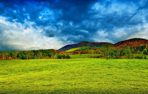 Картинка осень, лес, небо, трава, облака, деревья, горы, дома