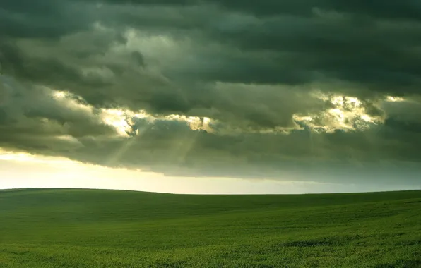 Картинка поле, трава, облака, свет