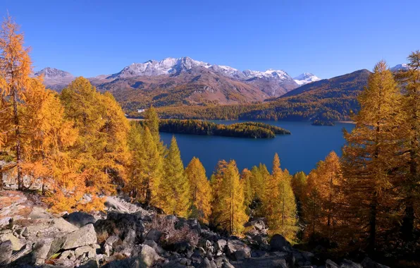 Картинка осень, деревья, горы, озеро, Швейцария, Альпы, Switzerland, Engadin