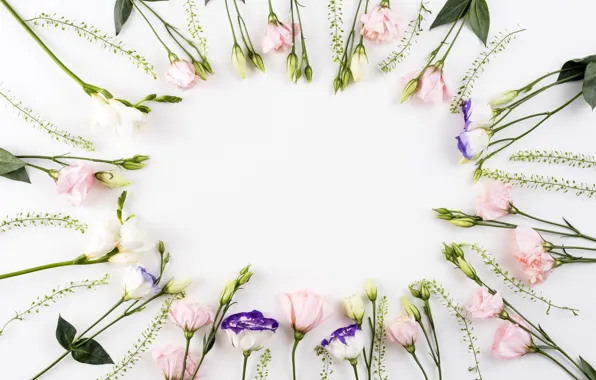 Цветы, pink, flowers, beautiful, romantic, эустома, eustoma