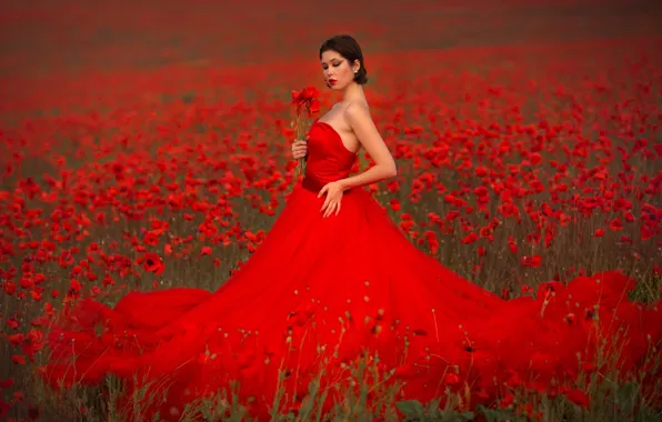 Картинка девушка, цветы, поза, стиль, модель, маки, декольте, красное платье