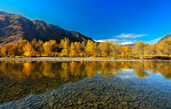 Осень, отражение, река, Горный Алтай