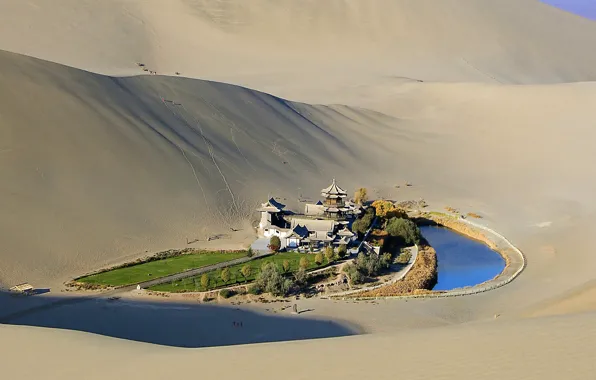 Картинка песок, трава, деревья, пруд, пустыня, пагода, оазис