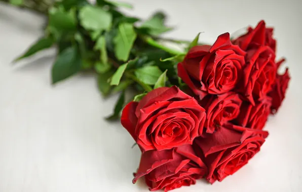 Картинка цветы, красный, розы, букет