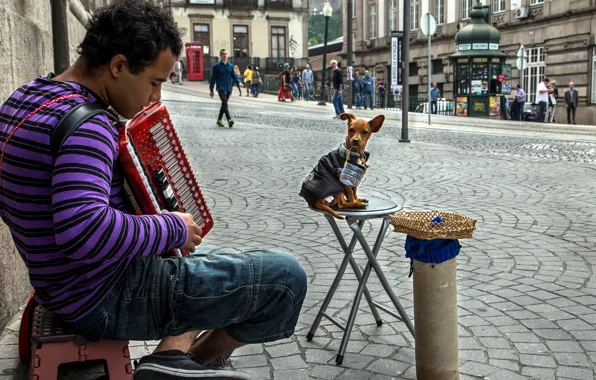 Музыка, улица, человек, собака