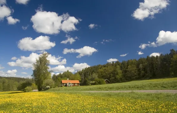 Картинка дорога, поле, лес, домик