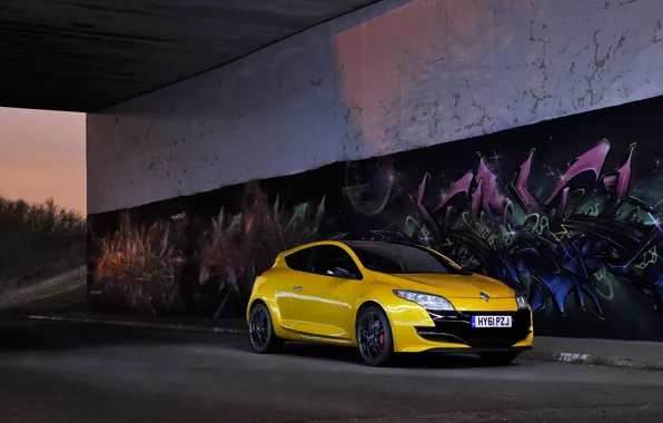 Trophy, Mégane, Renaultsport, 265