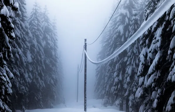 Картинка зима, лес, снег, лэп