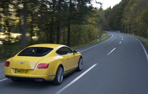 Дорога, купе, Bentley
