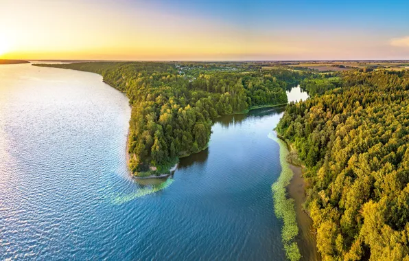Картинка лес, озеро, панорама, Литва, Lithuania, Kaunas Reservoir, Kaunas County, Mergakalnis
