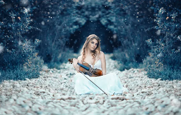 Картинка девушка, скрипка, Alessandro Di Cicco, Symphony of life