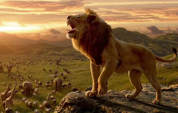 Животные, закат, фильм, грива, Лев, Король Лев, film, The Lion King