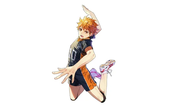 Движение, белый фон, парень, Волейбол, Haikyuu, Хината Сё