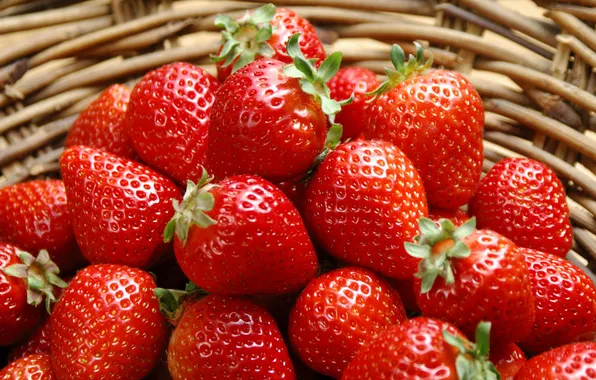 Ягоды, клубника, berries, strawberries