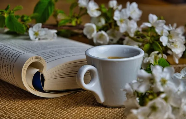 Настроение, кофе, ветка, чашка, книга