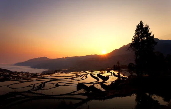 Картинка восход, рисовые поля, Duoyishu