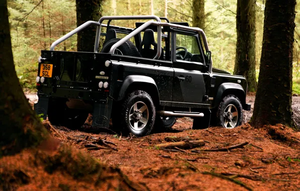 Картинка деревья, 2008, Land Rover, Defender, SVX, 60th Anniversary Edition