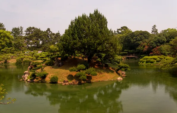 Деревья, пейзаж, природа, пруд, парк, фото, Япония, Takamatsu