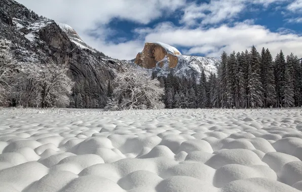 Yosemite National Park, Half Dome, Snow Cottonballs