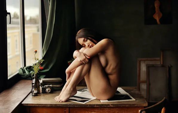 Девушка, цветы, поза, книги, окно, фотоаппарат, журналы, на столе