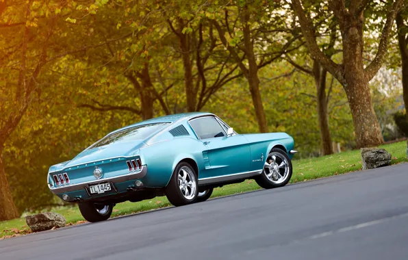 Mustang, Ford, багажник, 1967, Fastback