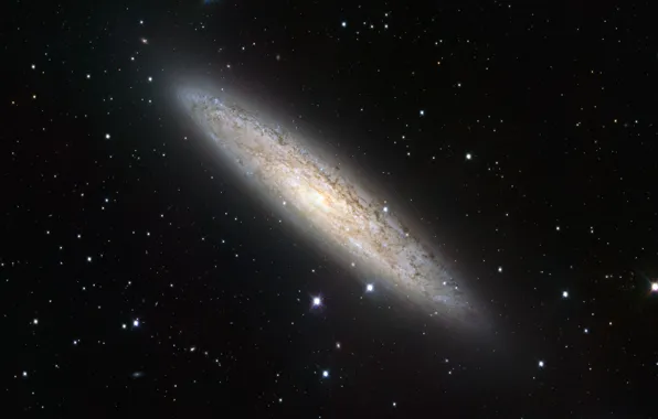 Картинка галактика, созвездие, Серебряная Монета, NGC 253, Скульптор