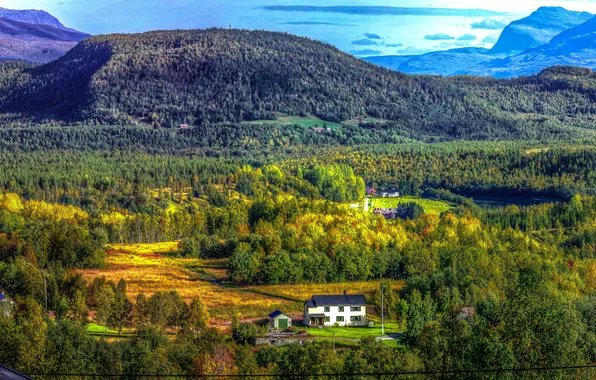 Картинка лес, небо, деревья, горы, природа, дом, норвегия