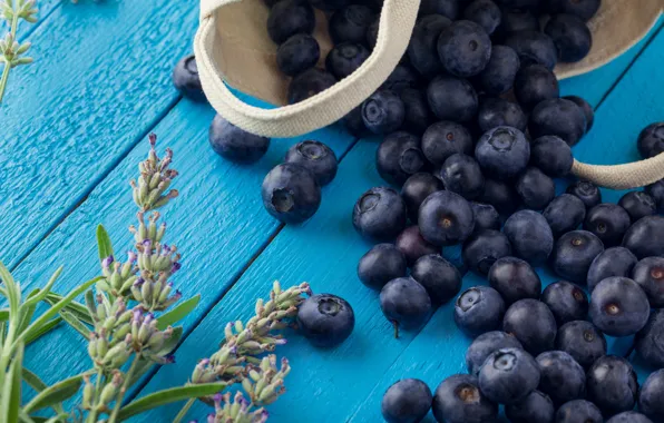 Цветок, ягоды, доски, еда, черника, blueberry
