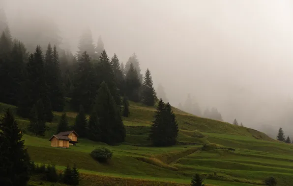 Картинка лес, трава, горы, природа, туман, утро, домики