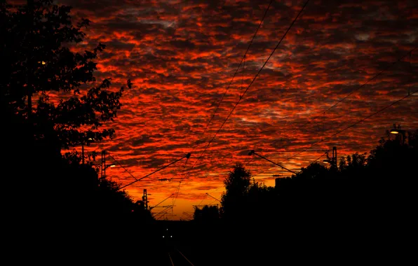 Clouds, Sky, Sunset, Train, Evening, Railroad, Rails