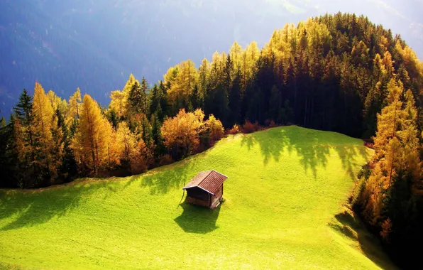 Картинка осень, лес, солнце, поляна, домик, сопка