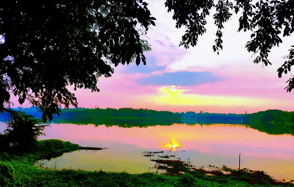 Sun, Water, Sunrise, Dawn, Morning, Lake, Trees, Reflection