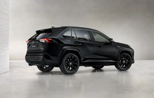 Картинка Toyota, Hybrid, Black Edition, RAV4