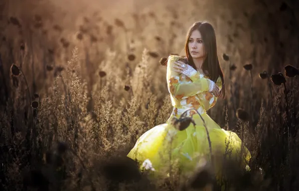 Лето, девушка, природа, Yellow Dress