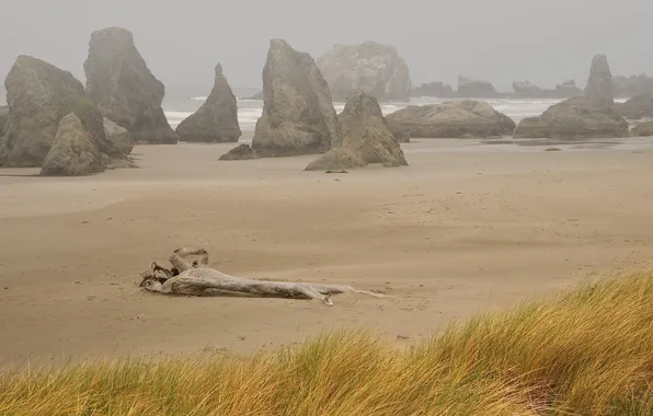 Картинка песок, море, трава, туман, камни, пасмурно, скалы, бревно