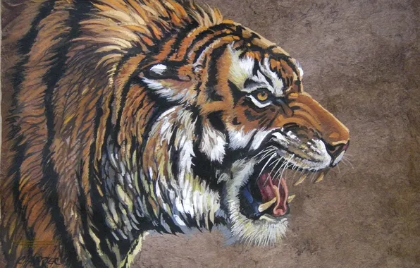 Тигр, работа, рисунок, зубы, арт, пасть, клыки, живопись