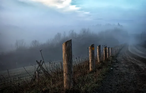 Картинка дорога, пейзаж, туман, забор, утро