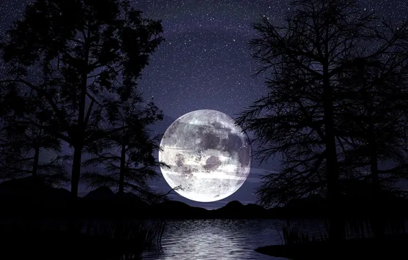 Картинка ночь, луна