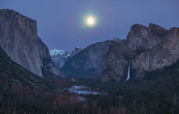Картинка небо, деревья, горы, ночь, природа, скалы, луна, США