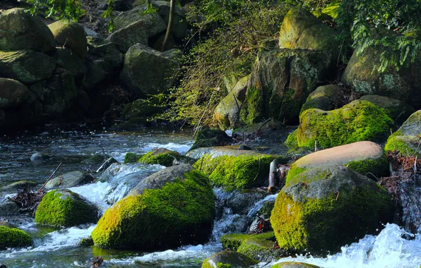 River, water, stones, moss