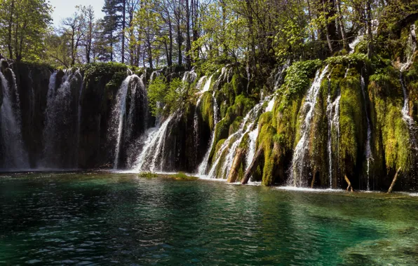 Зелень, лес, деревья, озеро, водопад, мох, Хорватия, Plitvice national park