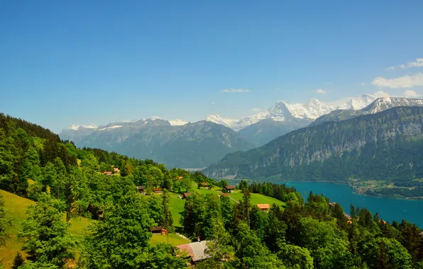 Картинка деревья, горы, река, Швейцария, домики, Beatenberg