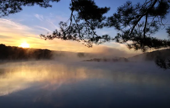 Картинка солнце, туман, озеро, дерево, рассвет, утро