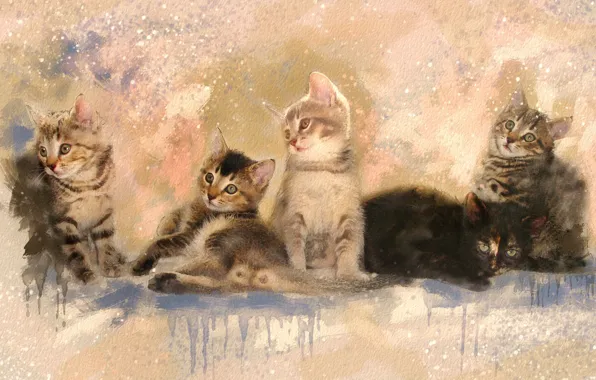 Картина, разводы, акварель, котята, живопись, серые, милашки, мазки