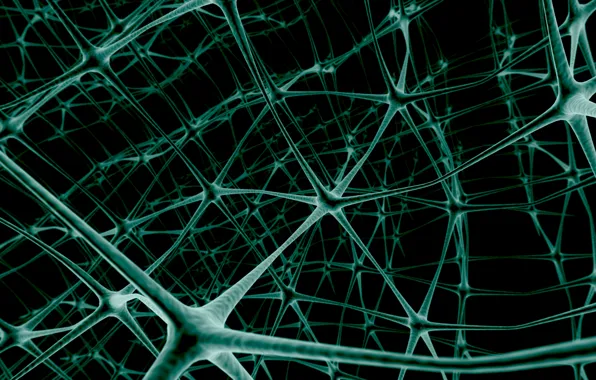 Картинка сеть, нейроны, связь