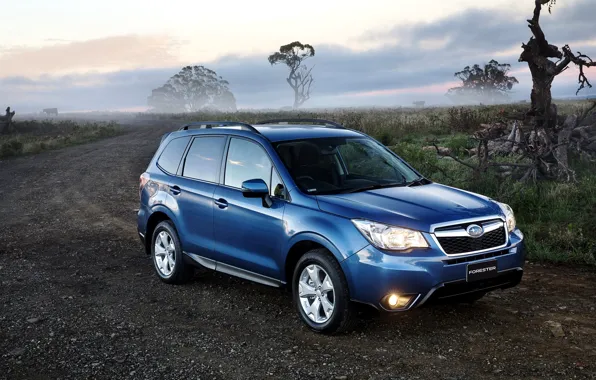 Картинка дорога, синий, фары, Subaru, субару, форестер, Forester, 2014