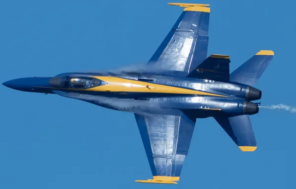 Шоу, самолёт, Blue Angels