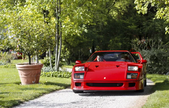 Red, F40, Road, Trees