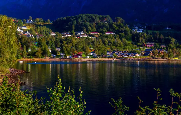 Фото, Дома, Город, Деревня, Залив, Норвегия, Hardangerfjord, Kinsarvik