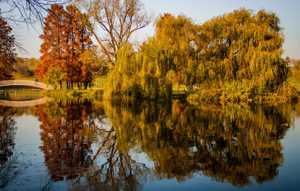 Осень, деревья, пруд, парк